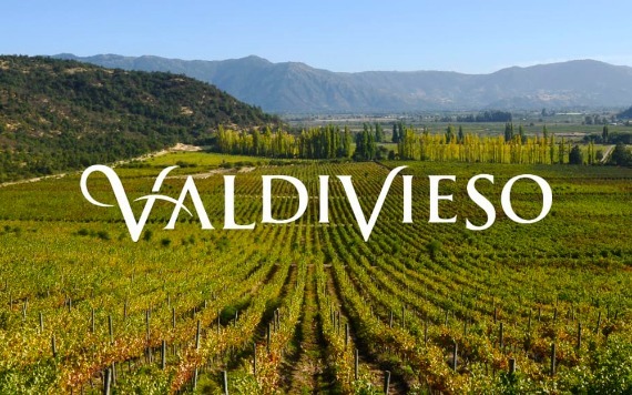 Comunicaciones Viña Valdivieso